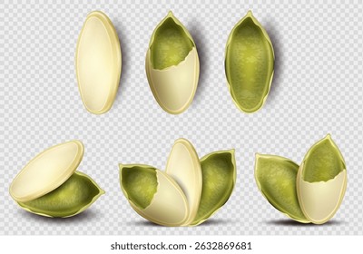 Conjunto de sementes de abóbora. Sementes de abóbora descascadas sobre fundo transparente. Em seção ou em processo de descamação. Vetor realista, close. Usado para publicidade, embalagem, colagem, web design de alimentos, jardinagem