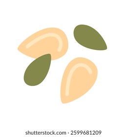 Pumpkin seeds in shell and without it. Vector illustration isolated on white background, hand drawn, flat design