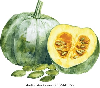 Pumpkin Seeds with Shells Watercolor Hand Painted. Flat Green Seeds Isolated on White Background. Pumpkin Seed Vector Illustration.