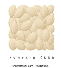 Pumpkin seeds square icon. Cartoon style vector illustration isolated on white background
