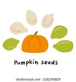 Pumpkin seeds. Vector flat illustration on white background.