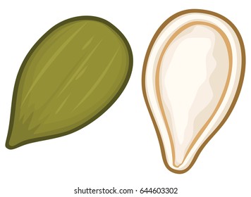 pumpkin seeds vector illustration 
