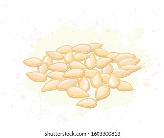 pumpkin seeds vector illustration on white background