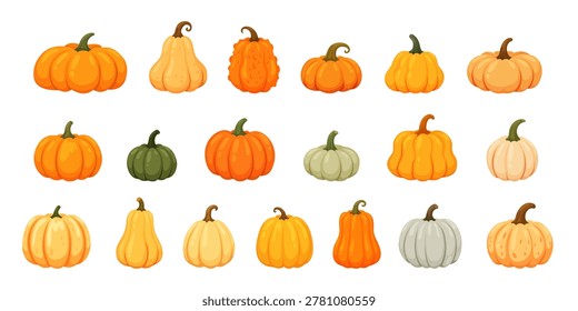 Pumpkin set. Autumn orange squash gourd harvest vegetable fall farm seasonal decoration thanksgiving market kitchen cartoon neat vector illustration