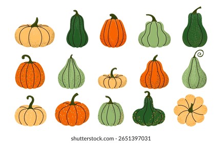 Pumpkin set. Autumn stylized pumpkin.