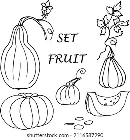 Pumpkin set ,black and white illustration ,doodles,abstraction,vector.