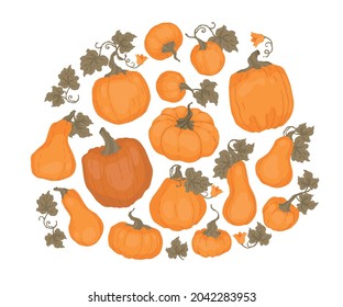 Kürbis-Set. Für Kochbuch, Rezepte, Menü. Kürbisblätter und Blumen. Herbstdekoratives Design, Halloween, Thanksgiving-Tag. Einziger, bunter Vektorfaktor auf weißem Hintergrund. 