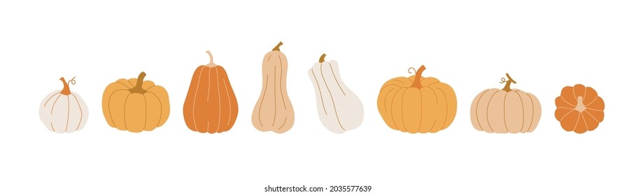 Pumpkin set. Cute hand drawn pumpkins in various sizes and colors. Vector concept banner for Thanksgiving or Halloween day.