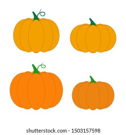 Pumpkin set of different colors. Autumn vegetable harvest.