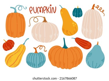 Pumpkin set different colors and sizes flat design vector illustration