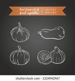 Pumpkin. Set of fresh vegetables, whole, half and bitten with leaf. Vector illustration. Isolated on blackboard