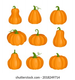 Pumpkin set for Halloween party, orange cute pumpkin clipart collection, fall farm squash
