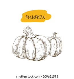 Pumpkin. Set of hand drawn graphic illustrations