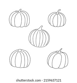 Pumpkin Set Hand Drawn Vector Outline Stock Vector (Royalty Free ...