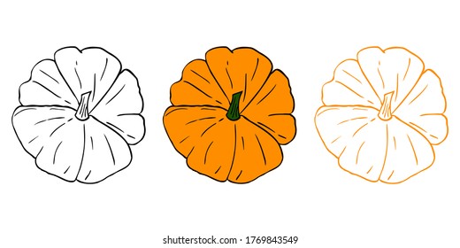 Pumpkin set illustration (line art). Perfect for your halloween/thanksgiving/organic natural design. Vector eps10, objects isolated on white background.