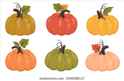 Calabaza aislada. Colección de calabaza entera con hojas. Hortalizas maduras. Ilustración vectorial para el diseño otoñal, buena nutrición, cosecha agrícola, Acción de Gracias, Halloween 