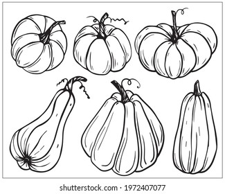 pumpkin, set of linear, black and white drawings of vegetables, autumn harvest, halloween symbol, stylized vector graphics