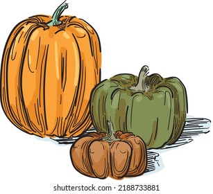 pumpkin set orange fall thanksgiving haloween different colors brown scary fall theme isolated on white bakground