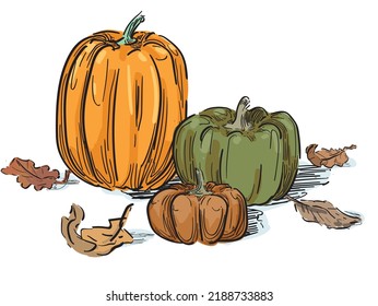 pumpkin set orange fall thanksgiving haloween different colors brown scary fall theme isolated on white bakground