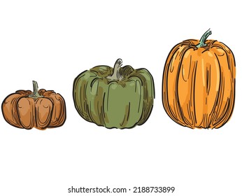 pumpkin set orange fall thanksgiving haloween different colors brown scary fall theme isolated on white bakground