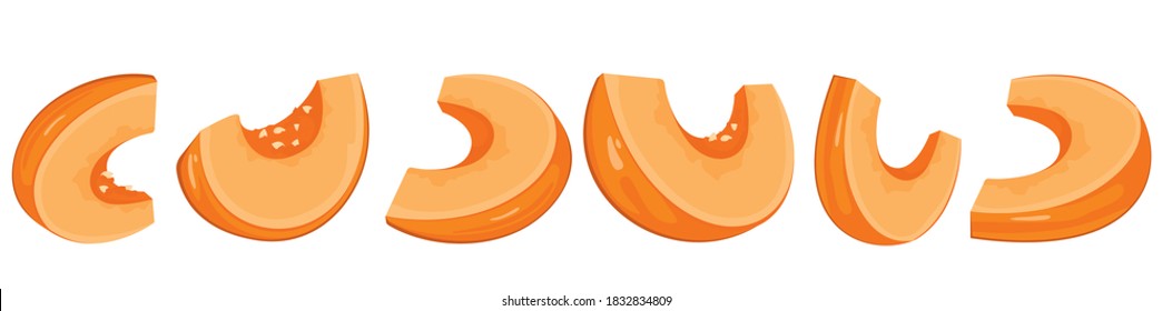 Pumpkin, set, pumpkin pieces, pumpkin seeds. Autumn background, vector, white background.