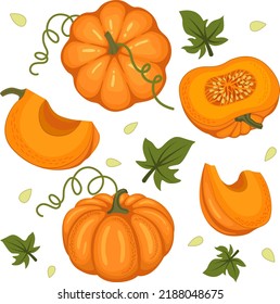 Pumpkin set of ripe pumpkins, leaves, pumpkin slices, seeds. Vector illustration in a flat style on a white background.