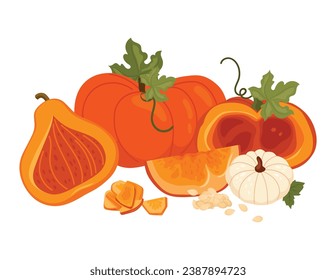 Kürbis setzte Samen. Herbsthintergrund, Vektorgrafik, weißer Hintergrund.