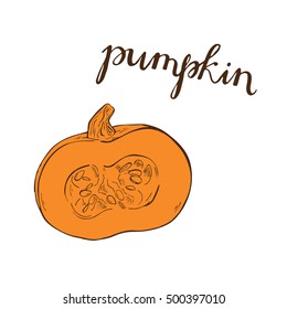 Pumpkin set sketch drawn by ink. Hand lettering. Hand drawn vector illustration.