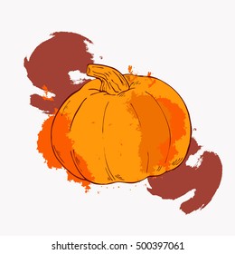 Pumpkin set sketch drawn by ink. Bright colored backdrops. Hand drawn vector illustration.
