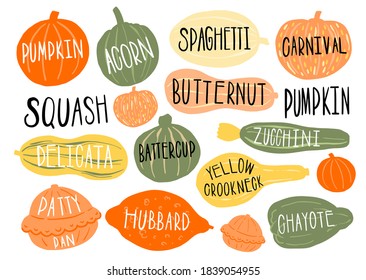 Pumpkin set type name collection.Varieties shape and color.Collection hand drawn element food.Vector illustration.