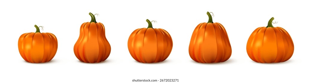 Pumpkin set in various shapes and sizes. Realistic orange gourds with green stems on white background. Autumn harvest, Thanksgiving, Halloween decoration concept. Vector illustration.