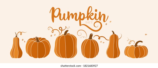 Pumpkin set. Vector illustration concept for Thanksgiving or Halloween day. Stylized orange pumpkins in various sizes. Great for postcards, paper, textiles. Autumn concept and vegetable compositions.