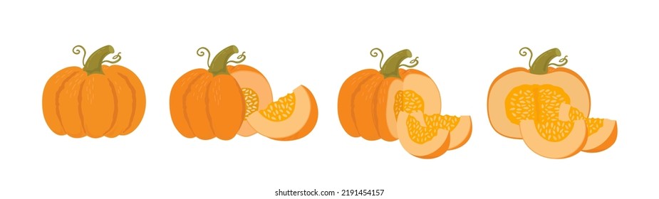 Pumpkin set whole, slice and halves on white background.  Autumn vegetables vector illustration. Organic food