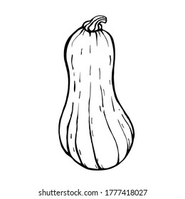 A pumpkin shaped like a light bulb.  Vector illustration of a hand-drawn outline on a white background, Doodle.