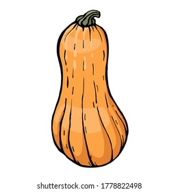 A pumpkin shaped like a light bulb. Vector color illustration of a hand-drawn drawing with a black outline on a white background.