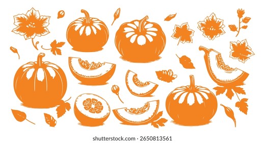 Pumpkin silhouette, different angles, slices, pumpkin leaves, pumpkin flowers. vector.