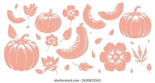 Pumpkin silhouette, different angles, slices, pumpkin leaves, pumpkin flowers. vector.
