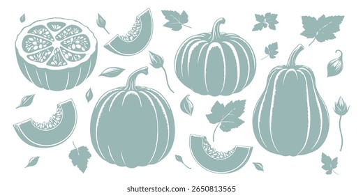 Pumpkin silhouette, different angles, slices, pumpkin leaves, pumpkin flowers. vector.
