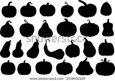 Pumpkin silhouettes. Pumpkin set on Isolated background. Halloween and Thanksgiving. Vegetable hand drawn. Vector EPS 10.