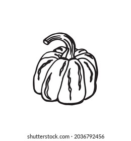 Pumpkin sketch  Autumn