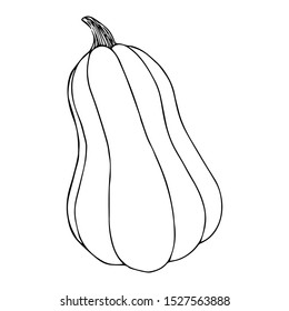 Pumpkin sketch black line isolated on white background vector illustration for decoration and design