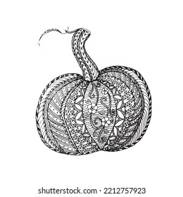 Pumpkin sketch, doodle thin line black  ornament on white, coloring page anti stress, vector illustration