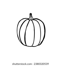 Kürbisskizze, Vektorgrafik, Herbstgemüse zu Halloween