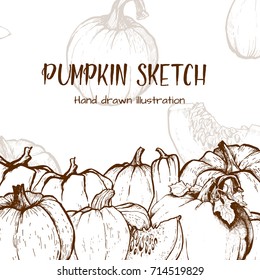 Pumpkin sketch hand drawn illustration. Vegetable engraved style illustration. Detailed vegetarian food sketch. Farm market product.