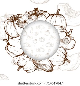 Pumpkin sketch hand drawn illustration. Vegetable engraved style illustration. Detailed vegetarian food sketch. Farm market product.