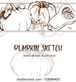 Pumpkin sketch hand drawn illustration. Vegetable engraved style illustration. Detailed vegetarian food sketch. Farm market product.