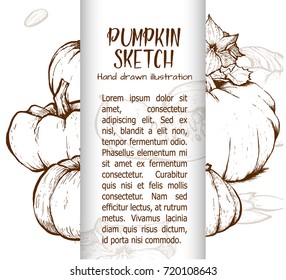 Pumpkin sketch hand drawn illustration. Vegetable engraved style illustration. Detailed vegetarian food sketch. Farm market product.