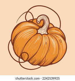 Pumpkin sketch. Hand drawn pumpkin. seasonal harvest botanical illustration.