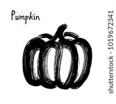 Pumpkin sketch illustration vector