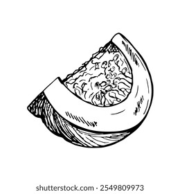 Pumpkin sketch outline illustration. Simple doodle drawing in engraving style. Hand drawn vector line art clipart